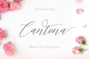 Cantona Font: Elegant Calligraphy for Web Design