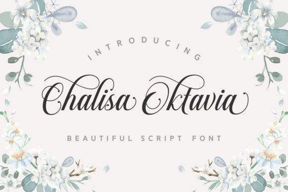 Chalisa Oktavia Font: Elegant Script for Web Design