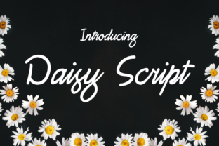 Daisy Script Font Review for Web Design