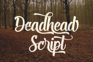 Deadhead Script Font: Elevating Small Business Branding