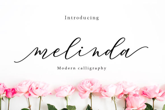 Mansfield Script Font: A Web Designer’s Layout Review