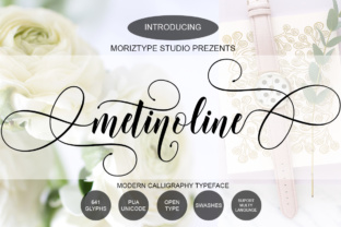 Metinoline Script Font: Elevating Digital Brand Layouts