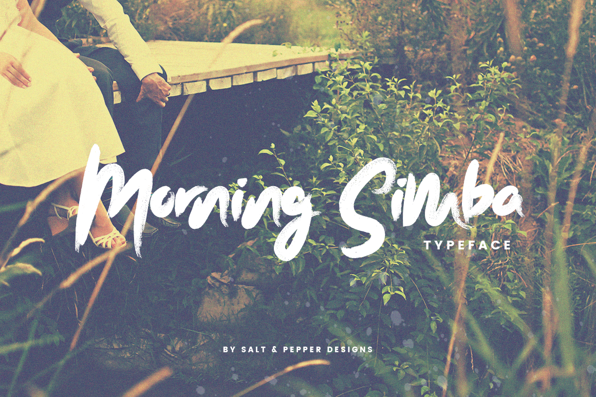 Morning Simba Script Font: A Branding Review