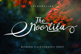 Noorlita Font: Elevating Small Business Branding