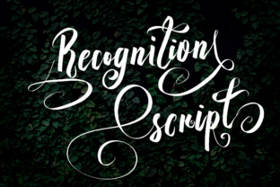 Recognition Script Font: An Editorial Design Review