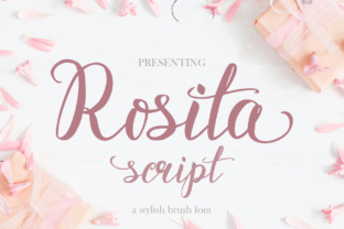 Rosita Script Font: A Web Designer’s Layout Review